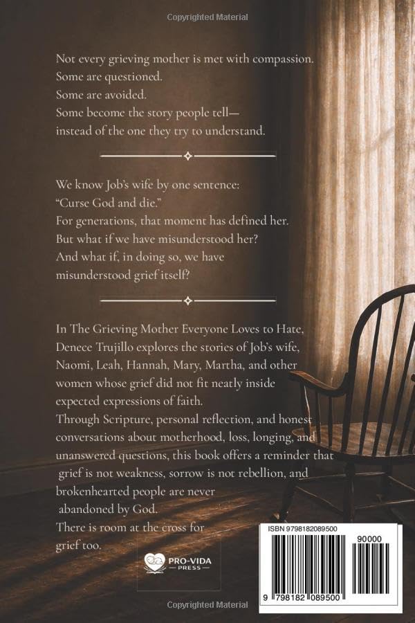 The Grieving Mother Everyone Loves to Hate back cover